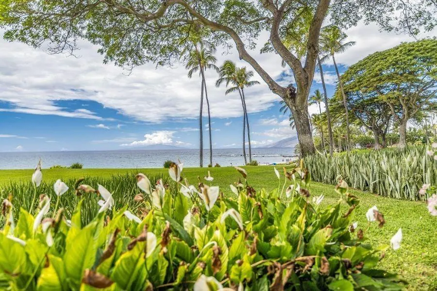 Wailea Elua, #1305^ Condo
